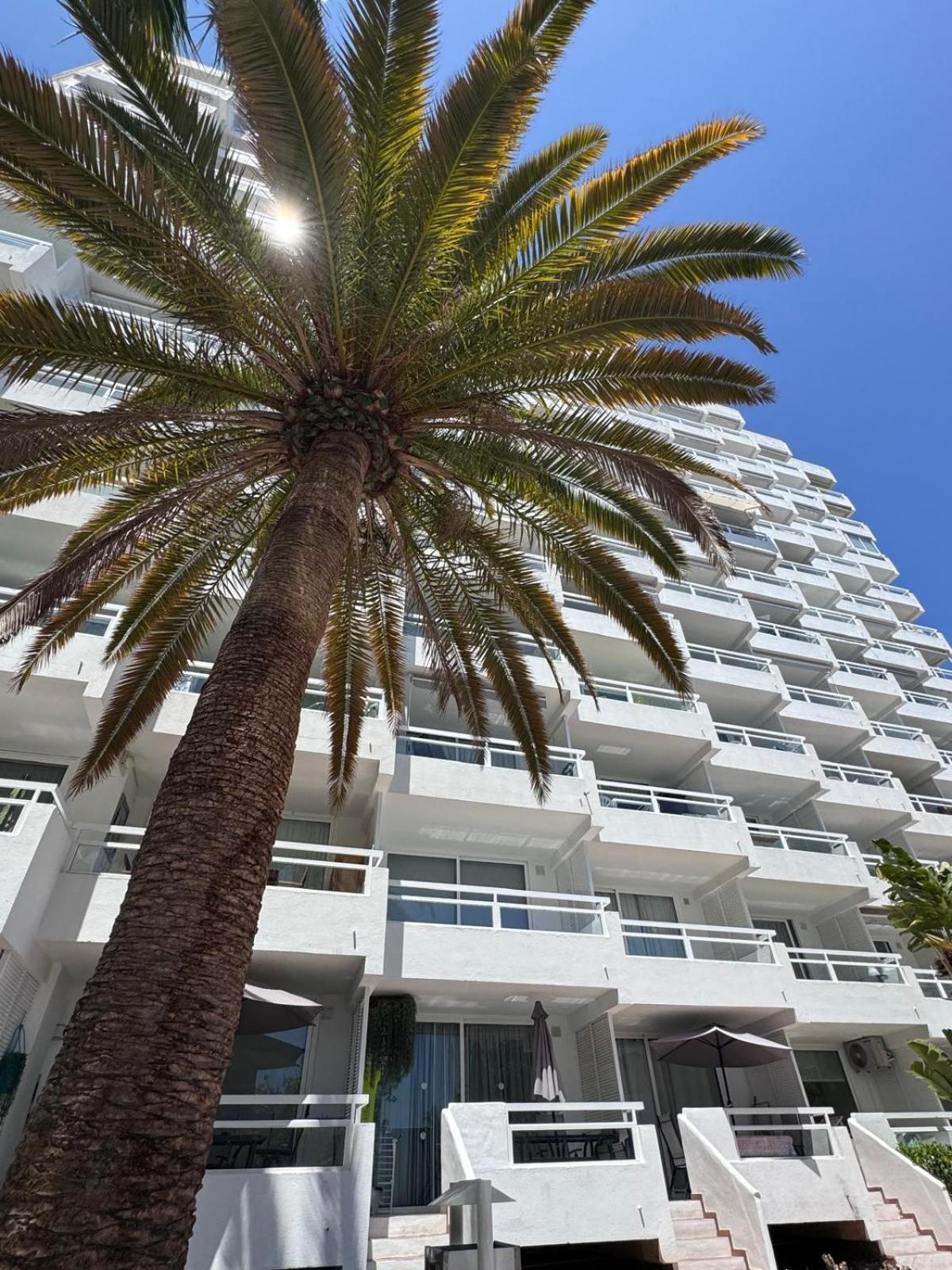 Jameo De Agua, Las Americas Studio Sea View Playa Feñabe Exterior foto
